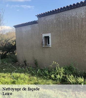Nettoyage de façade