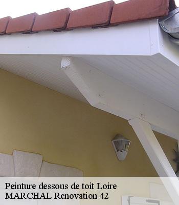 peinture-dessous-de-toit