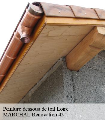 Peinture dessous de toit
