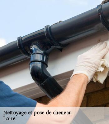 Nettoyage et pose de cheneau