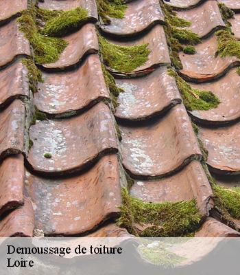 Demoussage de toiture