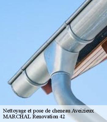 Nettoyage et pose de cheneau