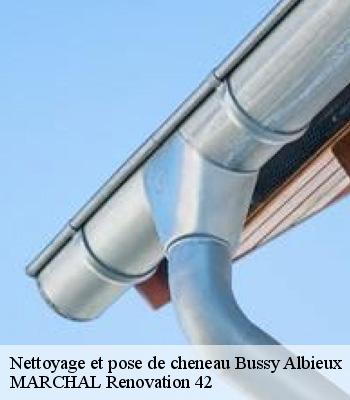 Nettoyage et pose de cheneau