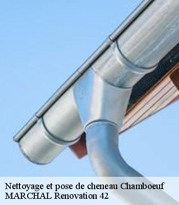 Nettoyage et pose de cheneau