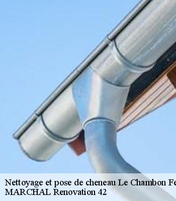 Nettoyage et pose de cheneau
