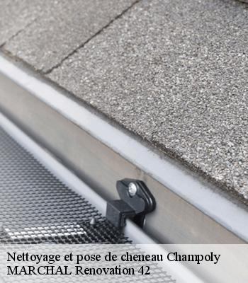 nettoyage-et-pose-de-cheneau