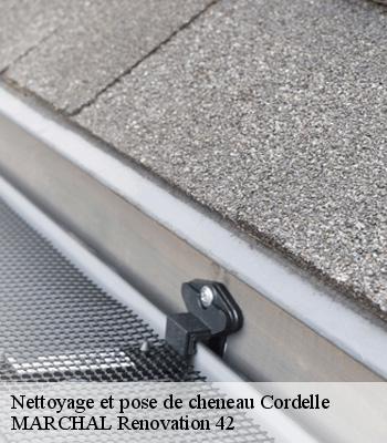 nettoyage-et-pose-de-cheneau