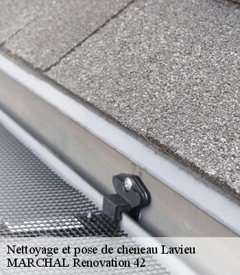 nettoyage-et-pose-de-cheneau