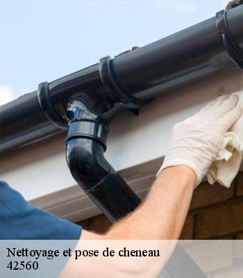 Nettoyage et pose de cheneau