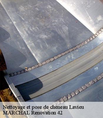Nettoyage et pose de cheneau