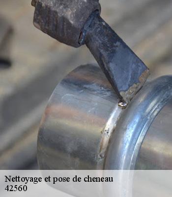 Nettoyage et pose de cheneau
