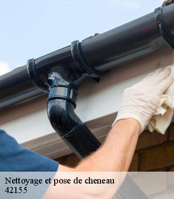 Nettoyage et pose de cheneau