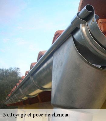 Nettoyage et pose de cheneau