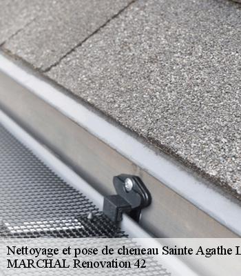 nettoyage-et-pose-de-cheneau