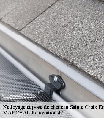 nettoyage-et-pose-de-cheneau