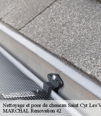 nettoyage-et-pose-de-cheneau