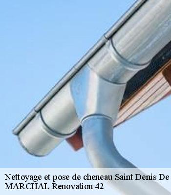 Nettoyage et pose de cheneau