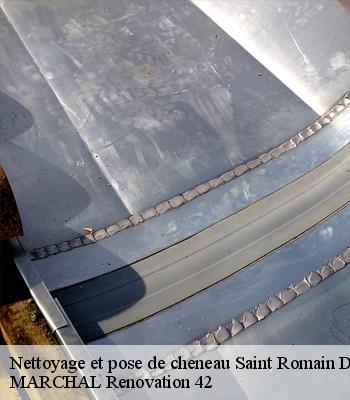 Nettoyage et pose de cheneau