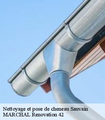 Nettoyage et pose de cheneau