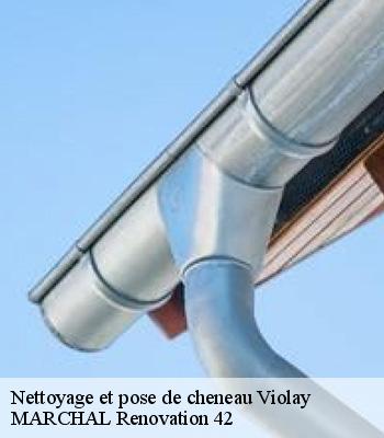 Nettoyage et pose de cheneau