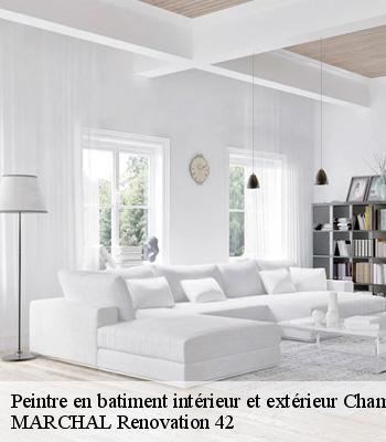 Peintre en batiment intérieur et extérieur