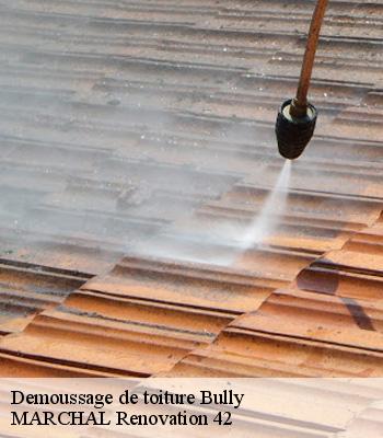 demoussage-de-toiture