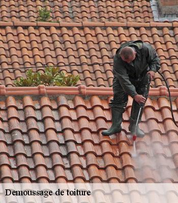 Demoussage de toiture