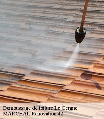 demoussage-de-toiture