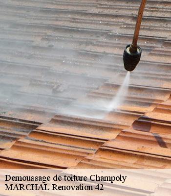 demoussage-de-toiture