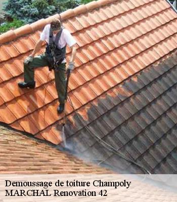 Demoussage de toiture