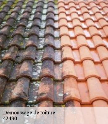 Demoussage de toiture