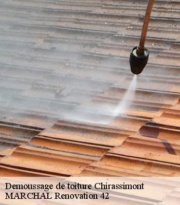 demoussage-de-toiture