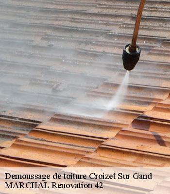 demoussage-de-toiture