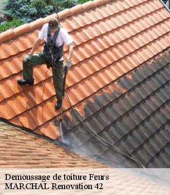 Demoussage de toiture