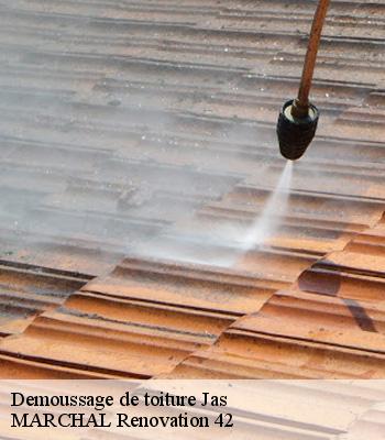 demoussage-de-toiture