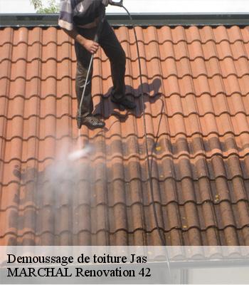 Demoussage de toiture