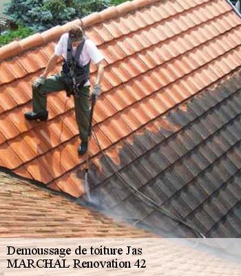 Demoussage de toiture
