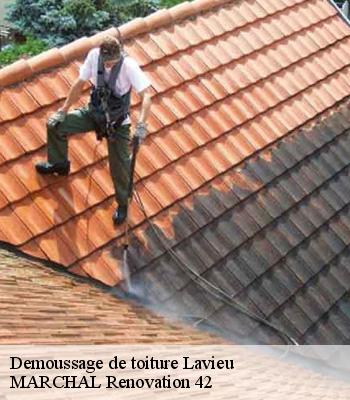 Demoussage de toiture