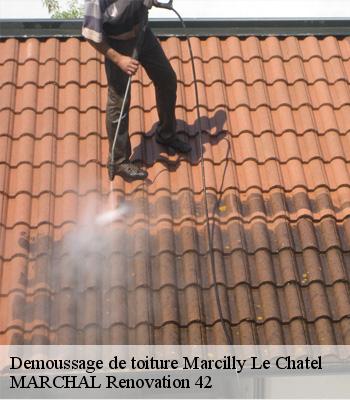 Demoussage de toiture