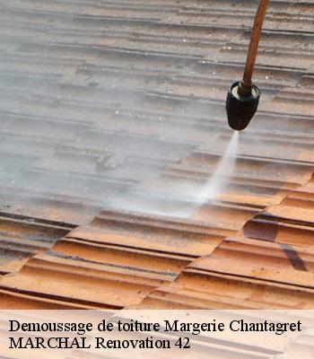 demoussage-de-toiture