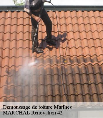 Demoussage de toiture