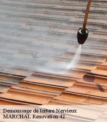 demoussage-de-toiture