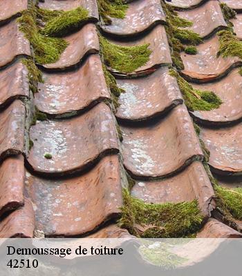 Demoussage de toiture