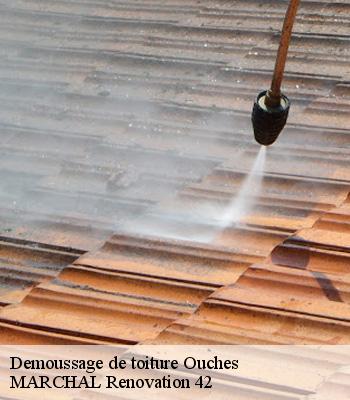 demoussage-de-toiture