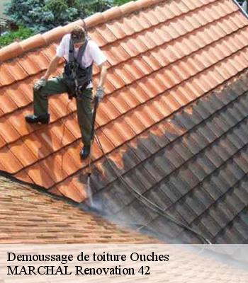 Demoussage de toiture