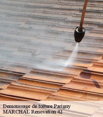 demoussage-de-toiture