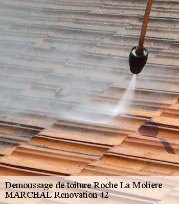 demoussage-de-toiture