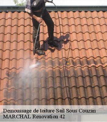 Demoussage de toiture