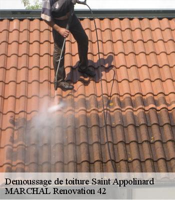 Demoussage de toiture