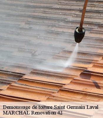 demoussage-de-toiture
